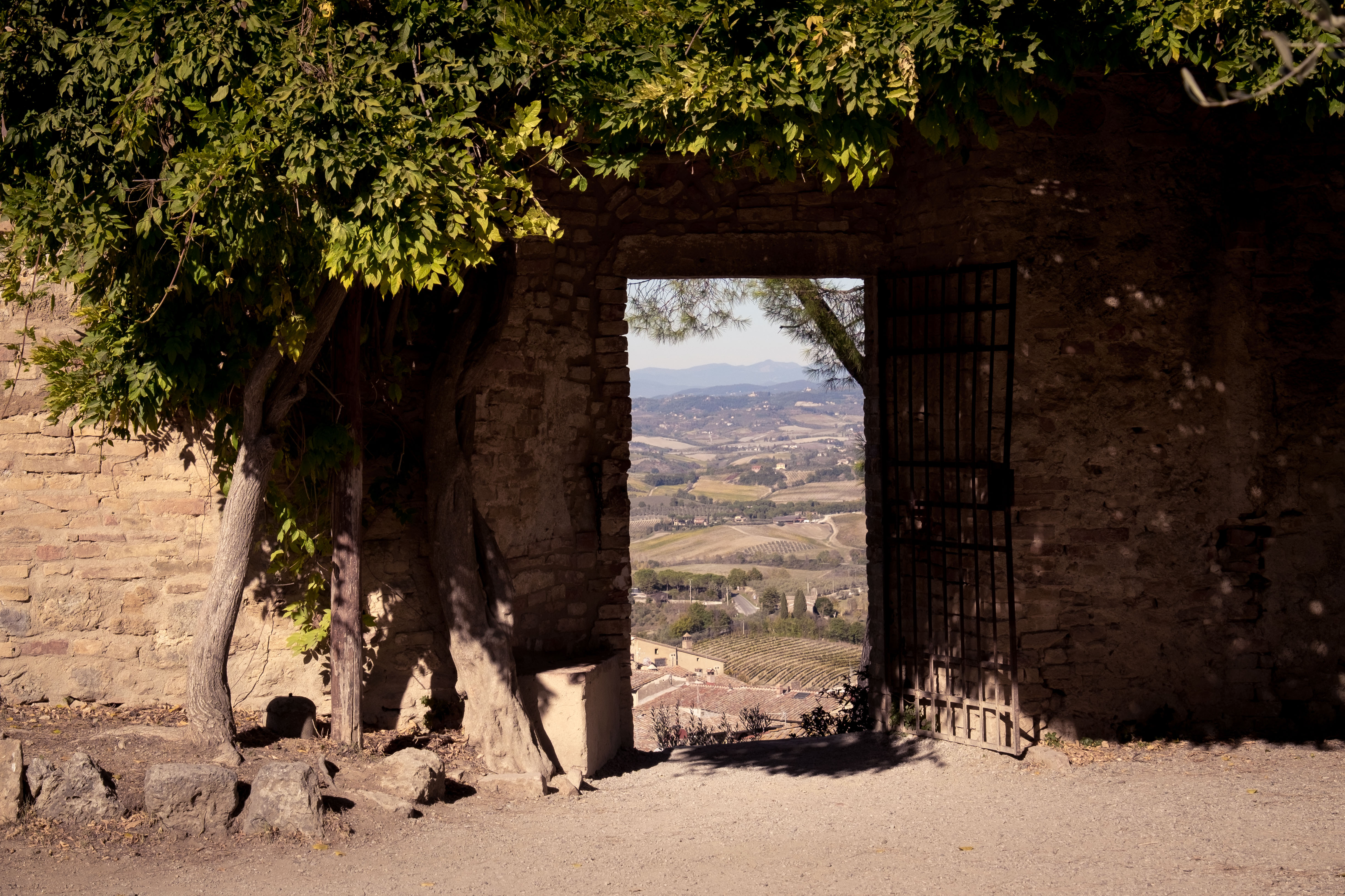 San Gimignano-5413