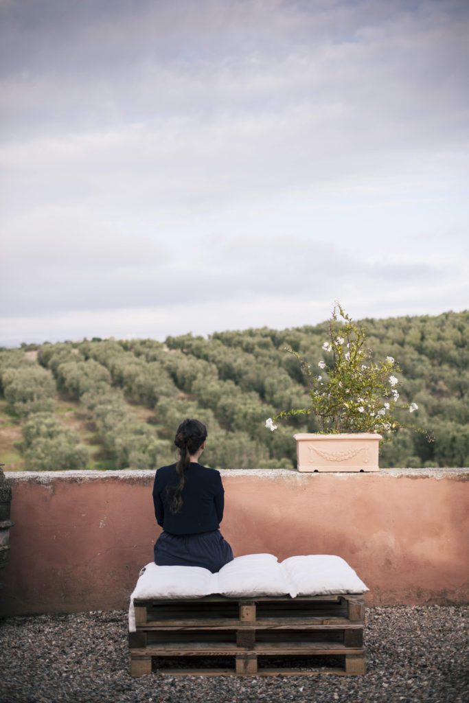 olive trees Italy